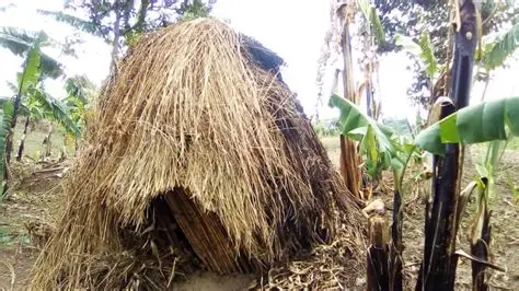 aide pour les BATWA BURUNDAIS